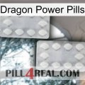 Dragon Power Pills 17